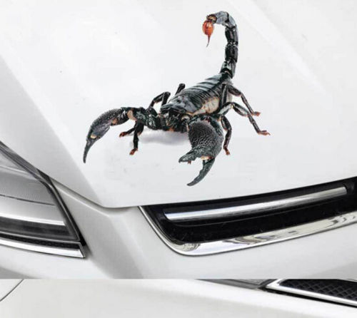 Grappige 3D Auto Sticker Gluren Ogen Amusing Decal Achterruit Boot Monster Scary Decal Auto Sticker Scratch Cover Auto Stickers: Scorpion