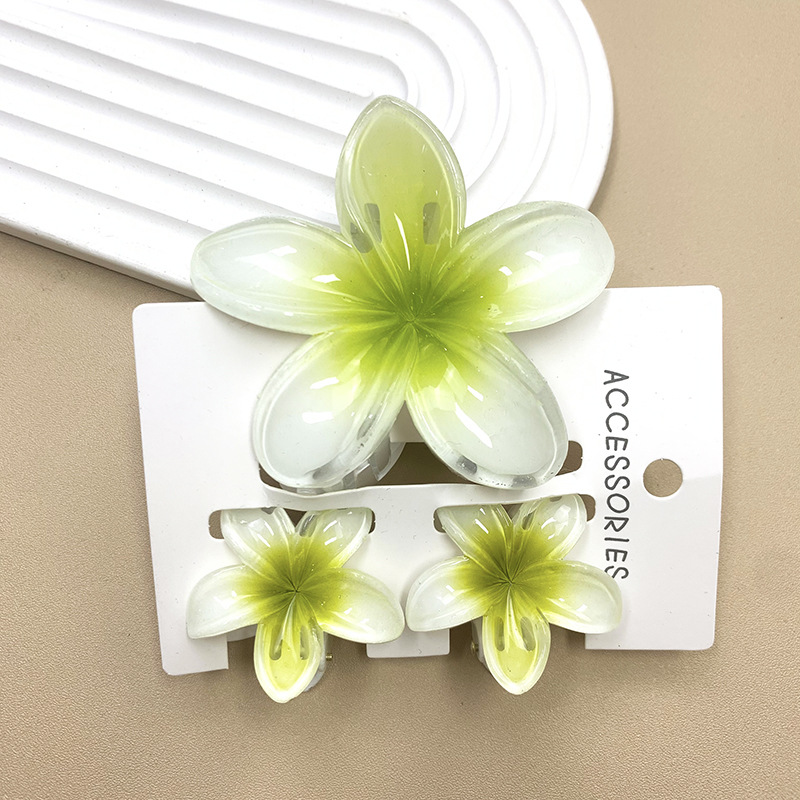3 pièces/ensemble fleur douce dégradé coloré griffes de cheveux queue de cheval Cip pince Barrettes épingles à cheveux pour femmes fille plage cheveux accessoires