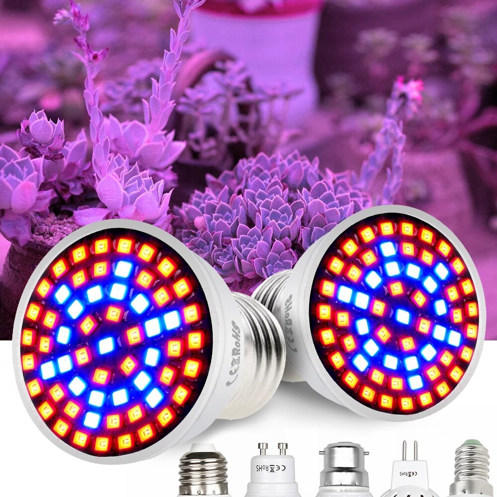 LED Plant Grow Light Bulb E26 E27 E14 MR16 GU10 B22 48LEDs-300LEDs for Flowers Vegetables Greenhouse Hydroponic Growing D30