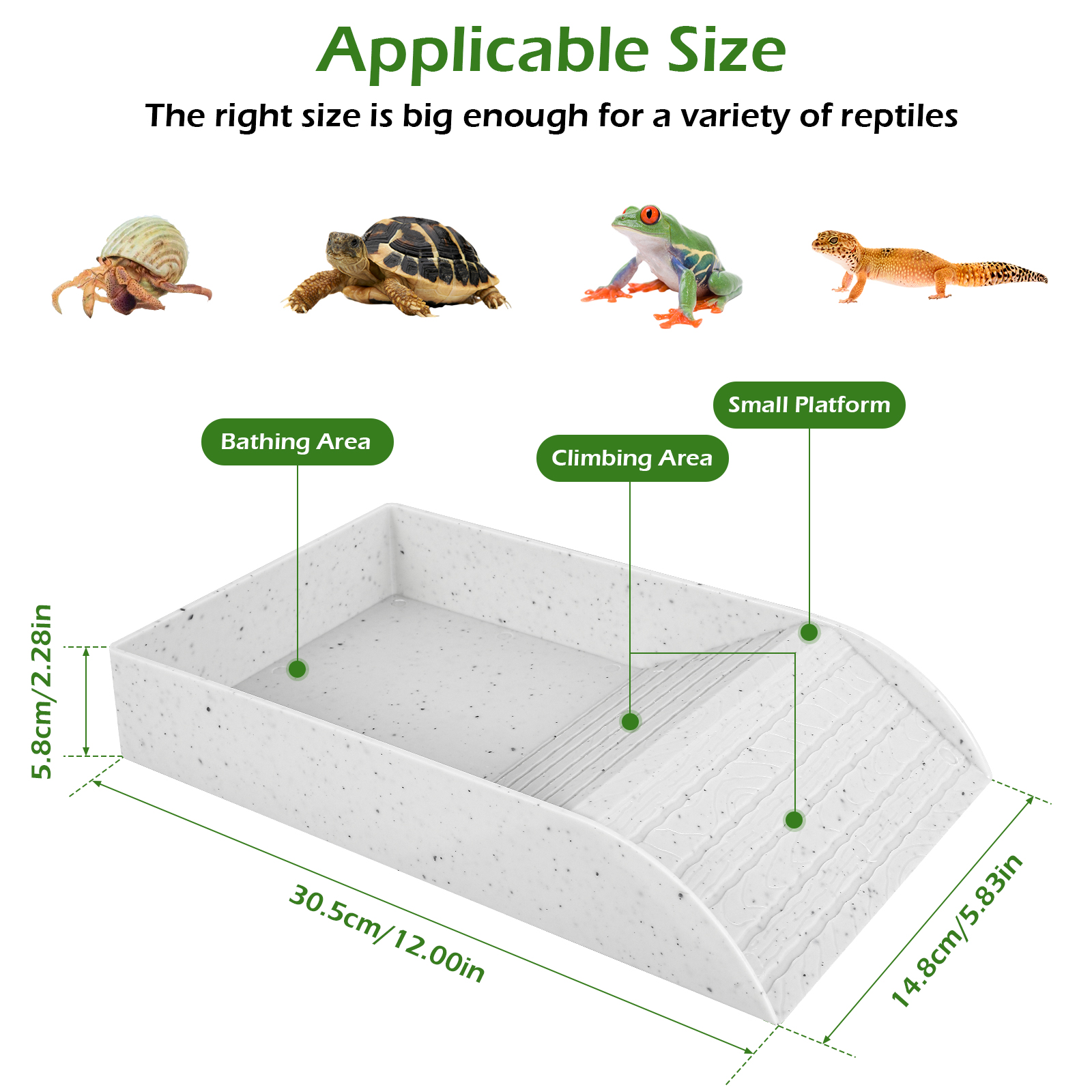 Plato de comida para tortuga, cuenco de plástico para comida y agua, accesorio para hábitat de tortuga con rampa antideslizante, piscina de baño para reptiles y tortugas: Caqui oscuro