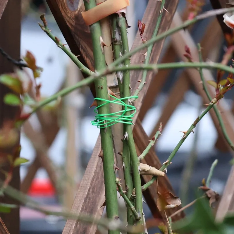Cable de flejado de jardín de 20/50/100M, paquete de planta de encuadernación Flexible, soporte de escalada de flores, aros de enredaderas, herramienta de atado fijo