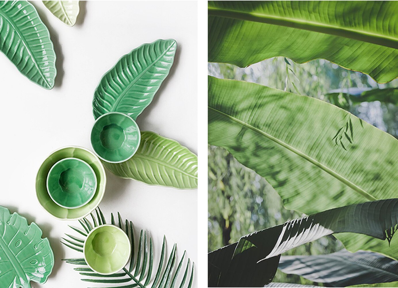 Vaisselle en céramique créative plante tropicale | Plante tropicale vaisselle de table de la maison irrégulière assiette à petit déjeuner plats à bonbons, assiette de service plat à Sauce soja