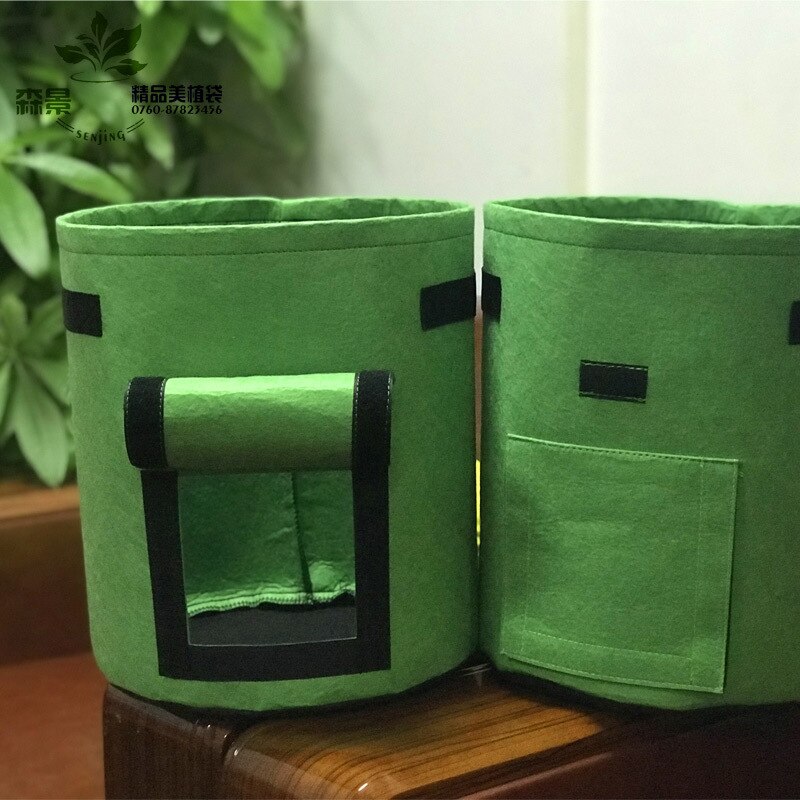 Aardappelgroeizak, plantenpotten van textiel met handvat en klep, tuinzakken voor groenten, tomaten, wortelen, uien: Groen 25 x 30cm 4 gal