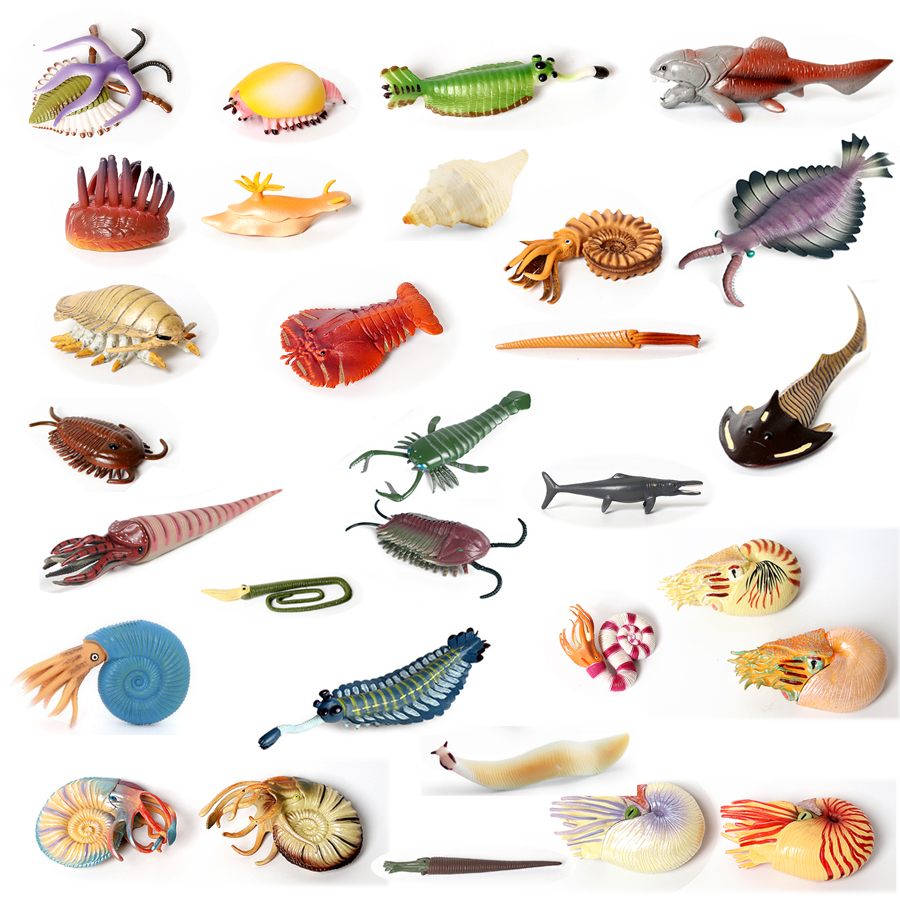 Creatura marina prehistórica de plástico, Animal del océano Cambriano antiguo, Nautilus,Trelobita,Baculitis,Opabinia,Pikaia, figuritas marinas, juguetes