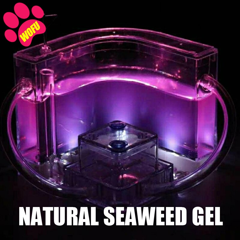 WOFUWOFU Lnsect Hotel，Ant Farm，Ant Glow Ocean View Villa Big Ants House Ant Nest Villa Insect Pet Anthill: Purple with light