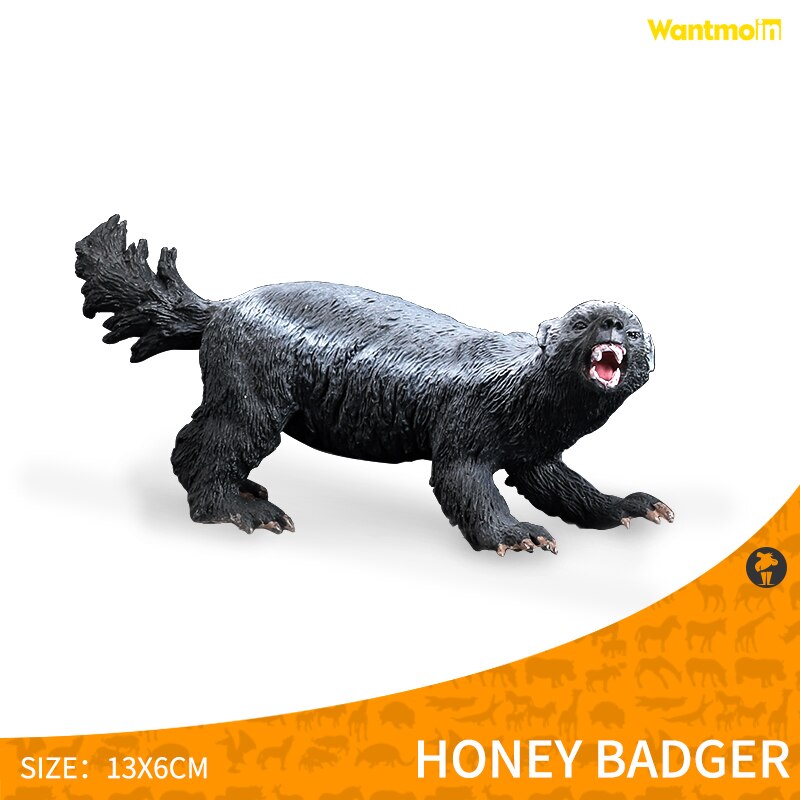 World-famous Dangerous Poisonous Wild Animal with Honey badger spider mosquito monitor lizard scorpion centipede snake Halloween: Honey badger