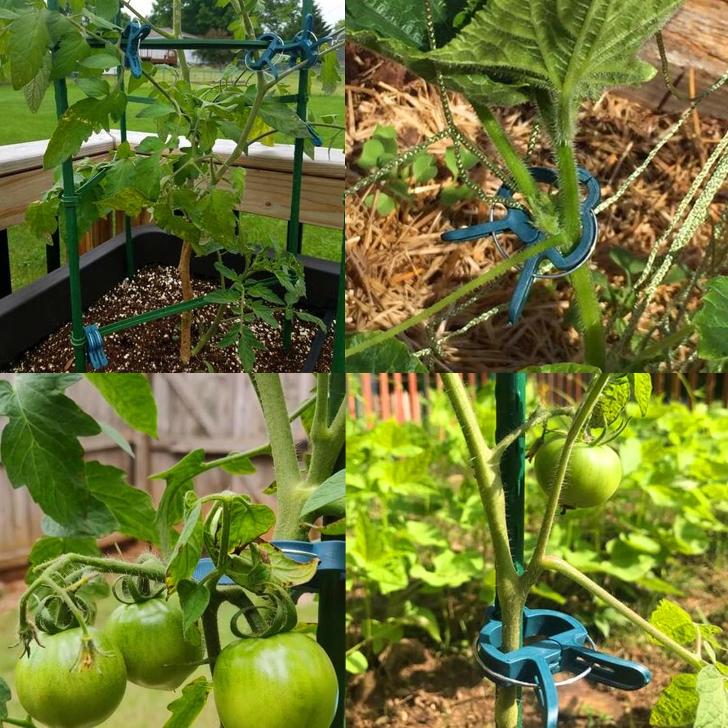 Clips fijos para plantas, soporte reutilizable para invernadero de jardín, plantas fijas, vid, flores, plántulas, tomates, suministros de jardín