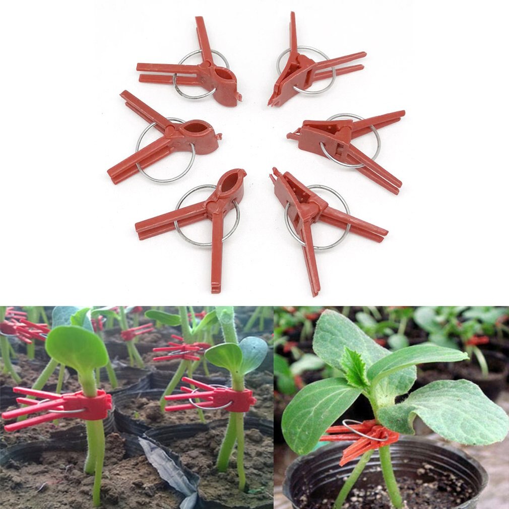 50 Stuks Groente Enten Klem Komkommer Clip Watermeloen Meloen Enten Clip Aubergine Enten Plastic Clip