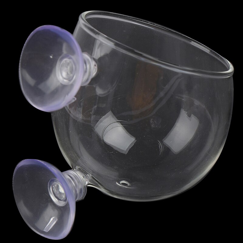 Fish Tank Mini Crystal Glass Pot Water Potted Aquatic Planting Cylinder Cup