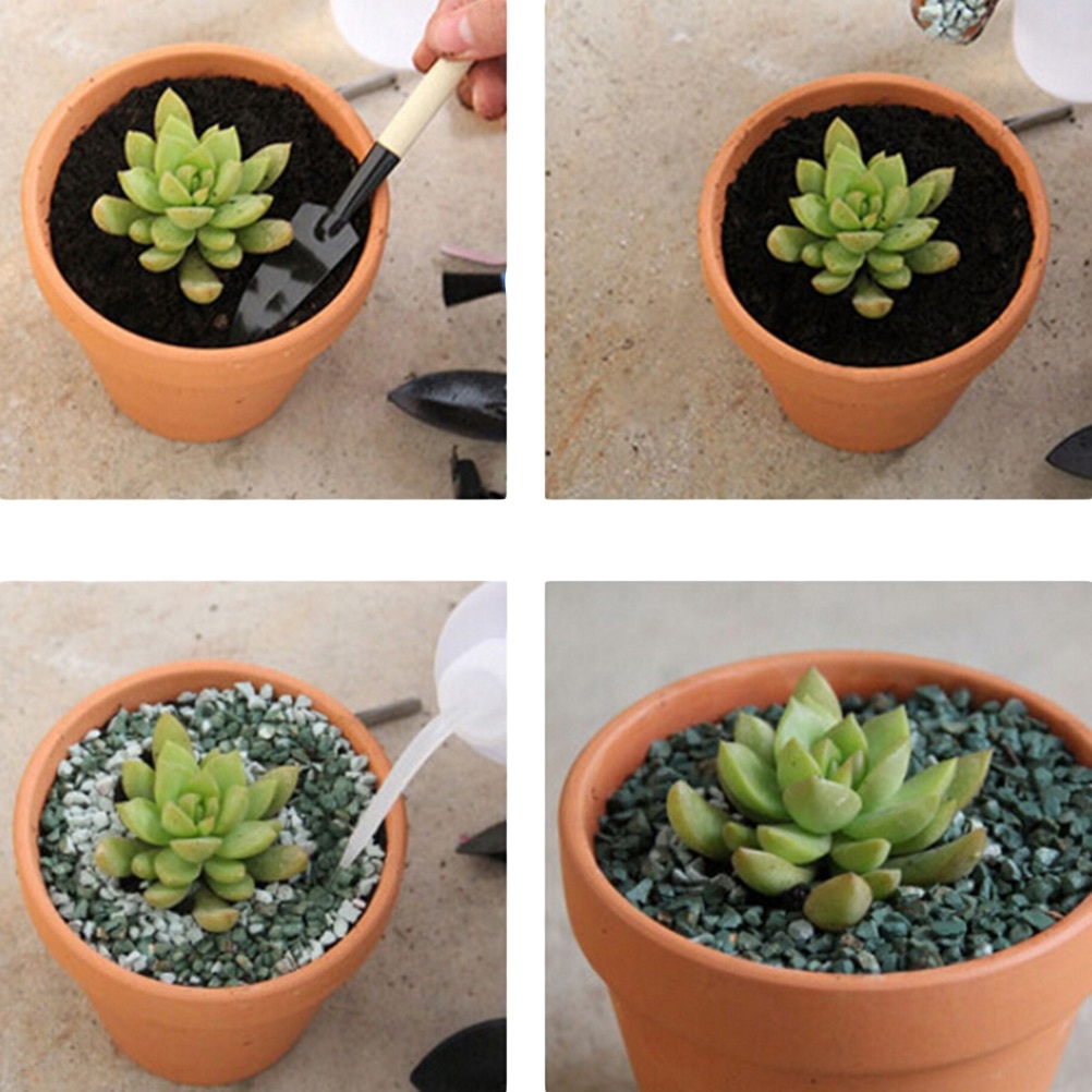 12 stk mini terrakottagryte leire keramiske keramikkplanter kaktus blomsterpotter saftige barnehagepotter flotte for planter håndverk favør