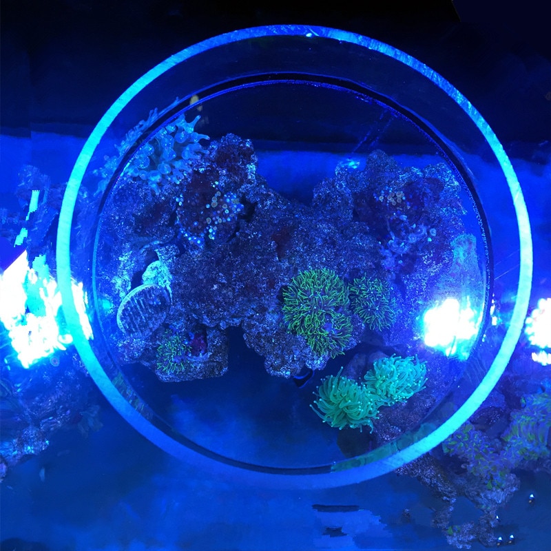 Aquarium Marine Reef Tank Sps Lps Coral Aquarium Oppervlak Observatie Spiegel. Foto Spiegel Van Een Koraal Aquarium