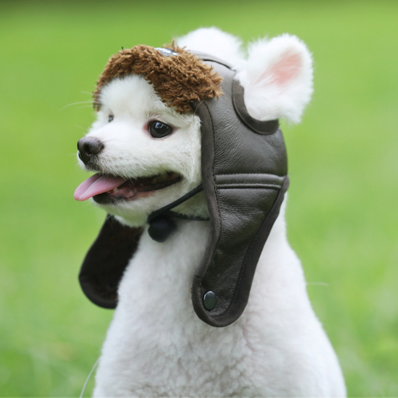 Zwierzęta domowe są czapka dla psa zima ciepła czapka pies kot nakrycia głowy Aviator akcesoria Cosplay na zewnątrz ochrona przed zimnem czapka