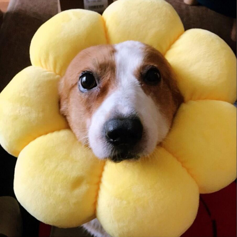 JU Cosplay Dog Cat Pet Flower Headgear Hat Costume Puppy Kitten Headdress Elizabeth Circle Head Wear Products Accessories