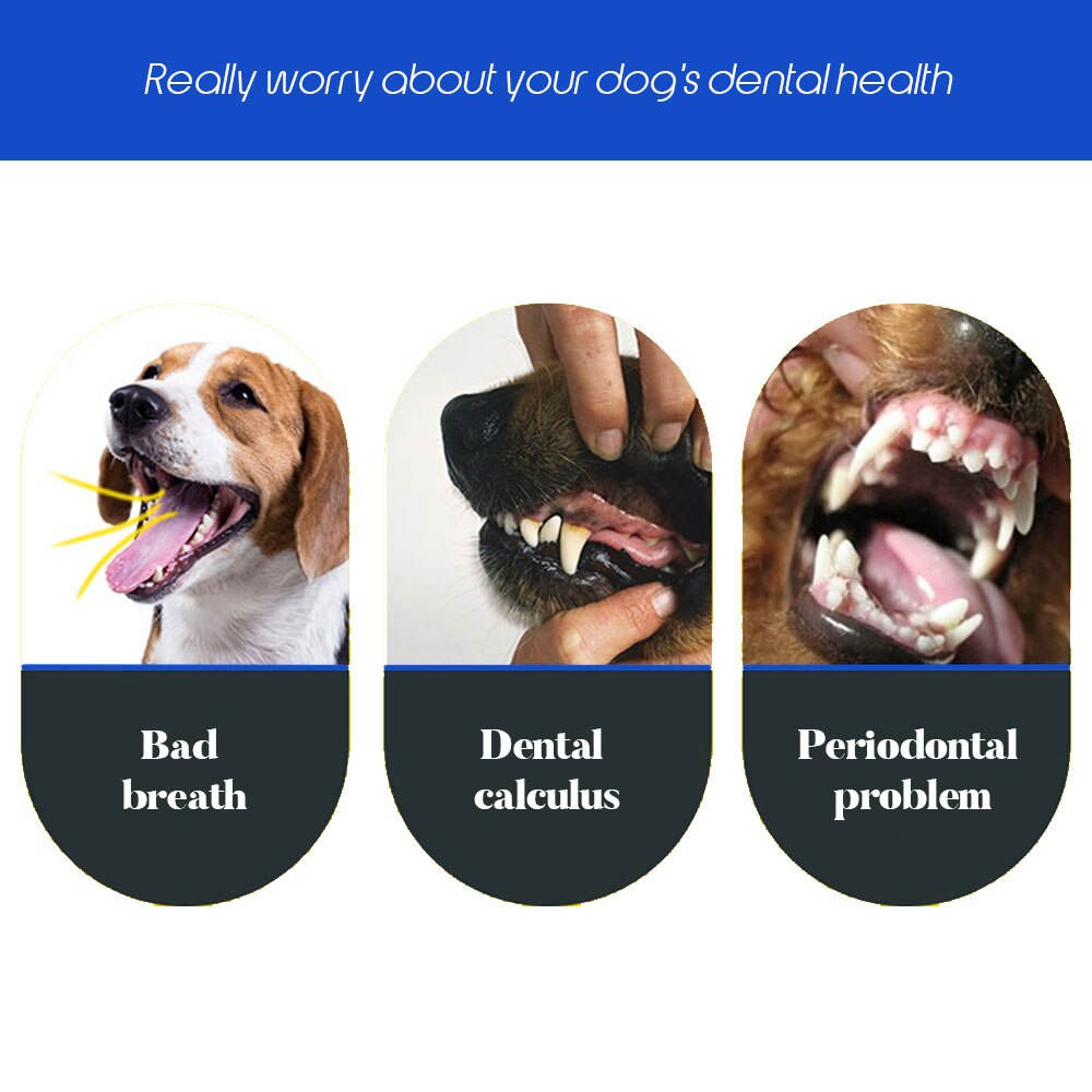 Cepillo dental para perro, cepillo de dientes de Gato suave con tres lados, cepillo de dientes de goma para perros, herramienta para dientes de sarro de mal aliento, accesorios para mascotas