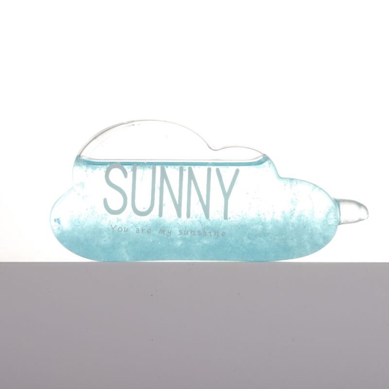 Stylish Desktop Weather Forecast Water Glass Bottle With Base Barometer Bottles Weather Station