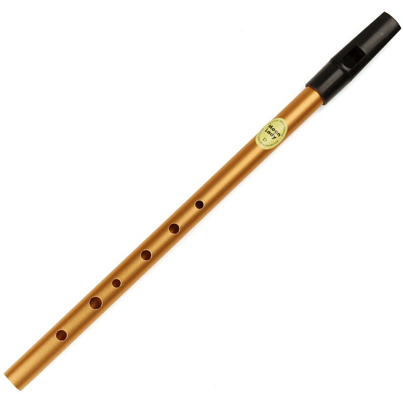 D Key-flauta de plata Irelish, instrumento Musical de silbato irlandés Orff, flauta de viento de madera: Oro