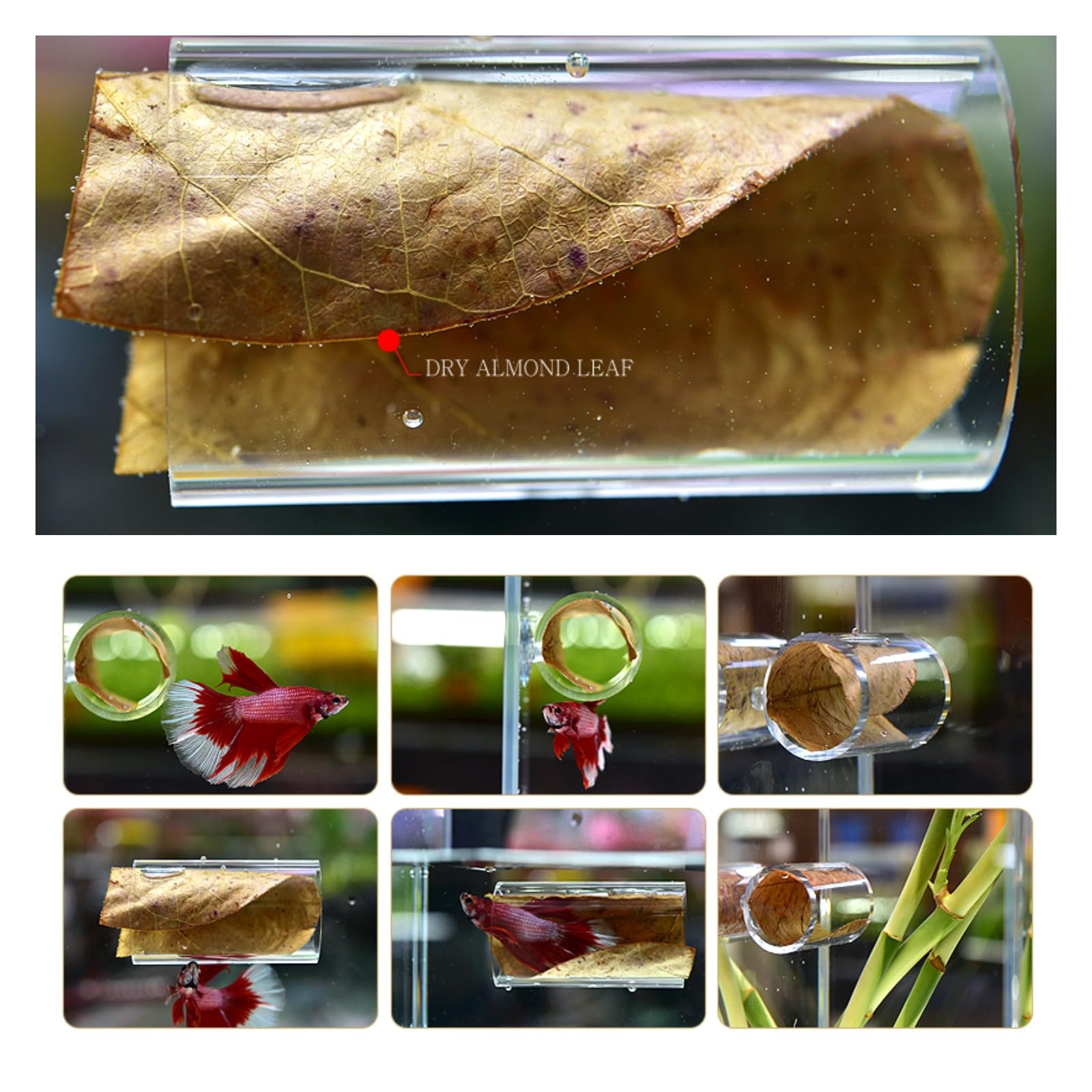 1/2Stck Betta Fisch Acryl Rohr Tunnel Hohl Aquarium Dekorationen Für Bessere Beobachtung Fische Verbessert Betta der Gesundheit