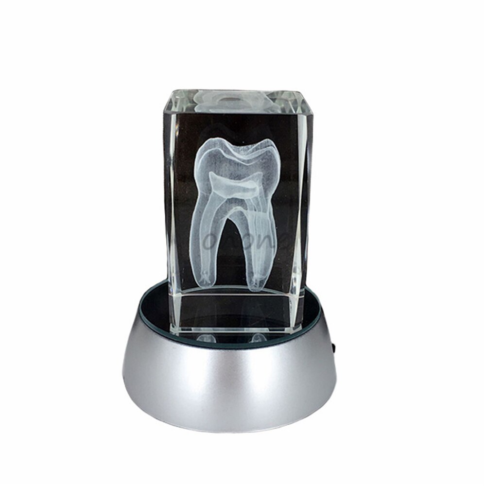 1pcs Dental Artware Teeth Model Dentist Crystal Model Handicraft Article