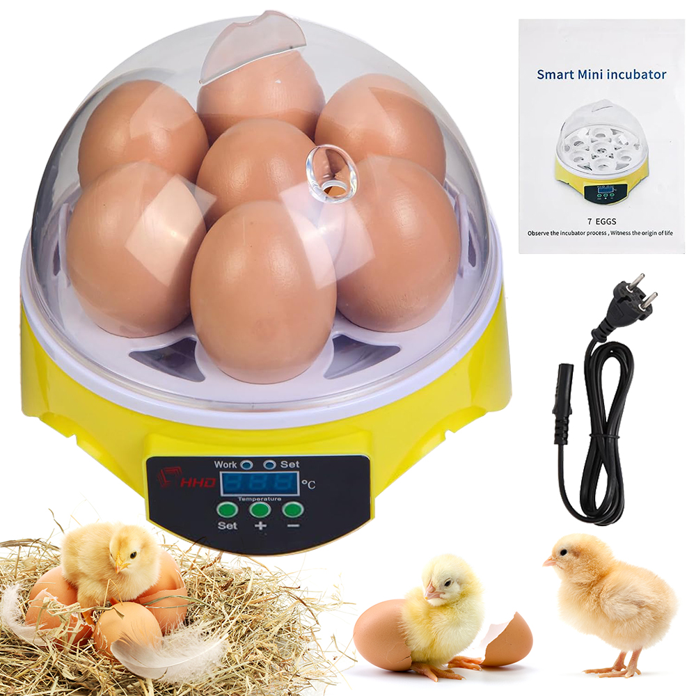 7-eieren Incubato Kleine huishoudelijke kip, eend, schildpad en vogeleierincubator Automatische temperatuurregeling Intelligente incubator: M / WHITE