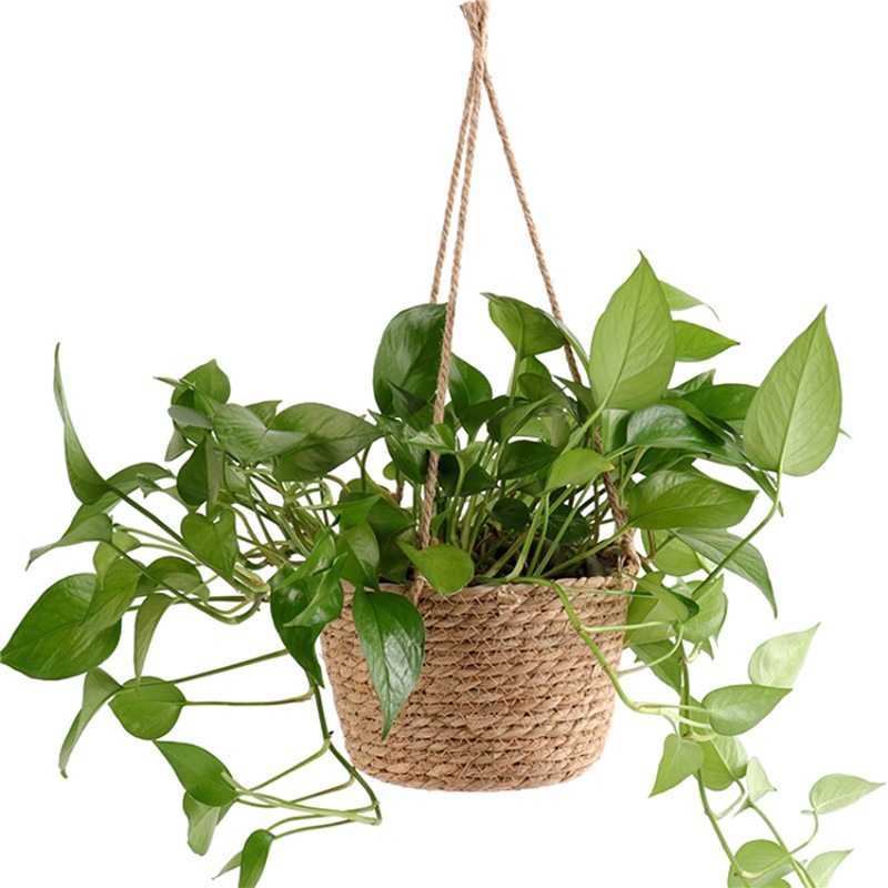 Macetero colgante de macramé para jardín, cesta de almacenamiento de plantas, cuerda de yute tejida para interior y exterior, soporte para maceta de flores, colgadores de plantas, decoración del hogar