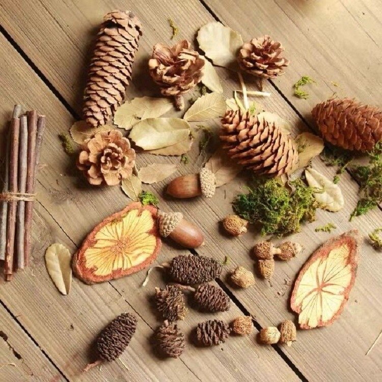 Photography photo props decoration diy retro forest decoration set cosmetic decorations with background