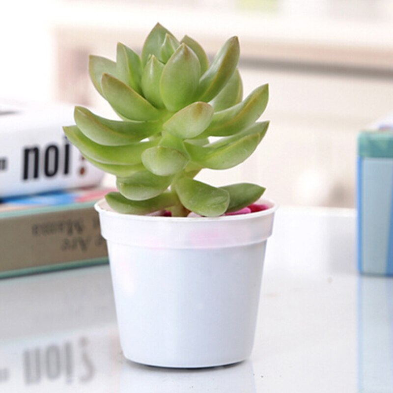 Round Flower Pots with Drainage Holes Mini Flower Pots, Suitable for Transplanting Nursery Seedlings (White 40)