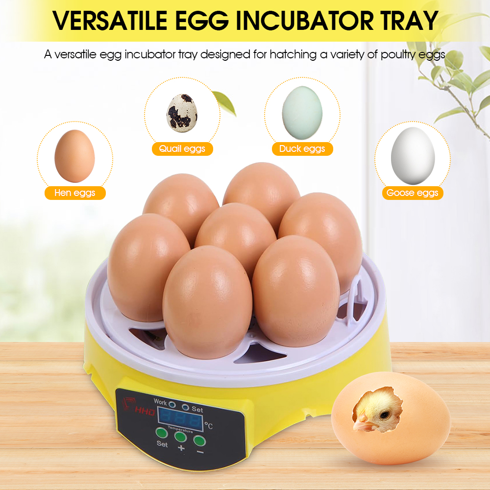 7-eieren Incubato Kleine huishoudelijke kip, eend, schildpad en vogeleierincubator Automatische temperatuurregeling Intelligente incubator