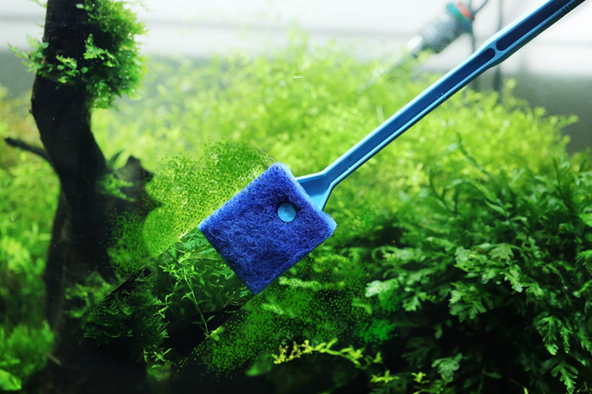 1PCS Aquarium Fish Tank Algae Cleaner Glass Plant 2 Head Cleaning Easy Brush Fish Tank Clean Tools
