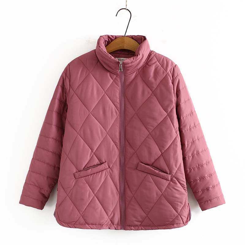 Dames Herfst Winter Plus Size Gewatteerd Jack Voor Vrouwen Grote Lange Mouwen Losse Dikke Gewatteerde Rits Jas 3XL 4XL 5XL 6XL: Roze / 6XL