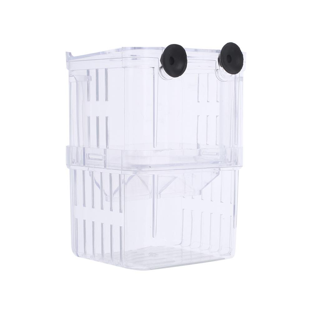 Boîte d'élevage de poissons, incubateur d'isolement, aquarium, ventouse, grande taille