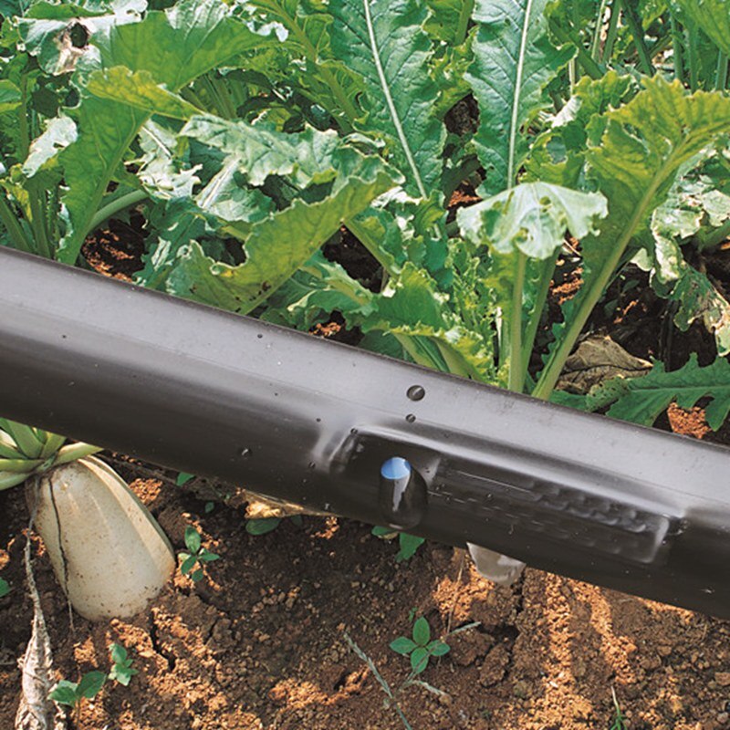 5 5050m16mm 2-hole irrigação gotejamento fita estufa sob filme irrigação gotejamento mangueira micro sistema de irrigação agilizar soaker mangueira