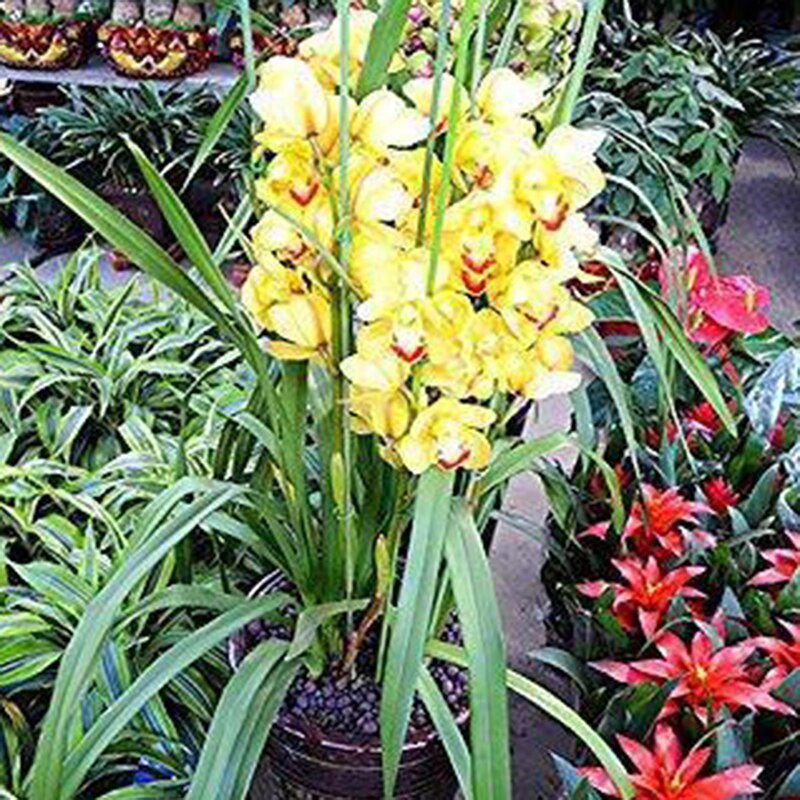 12Pcs 60cm Stocking Flower Wire Iron Wire For DIY Nylon Stocking Flower Making nylon stocking flower accessory