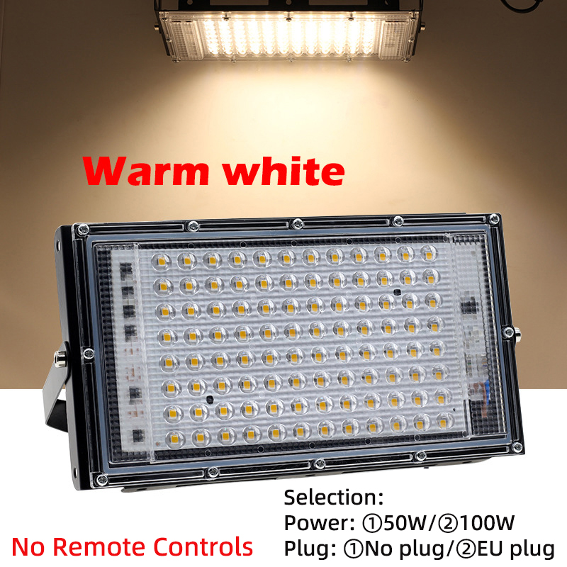 LED Floodlight 50W 100W AC 220V Outdoor Floodlight RGB Colourful Spotlight Outdoor IP65 Waterproof Led Spotlight for Garden: SKY BLUE / Warm White