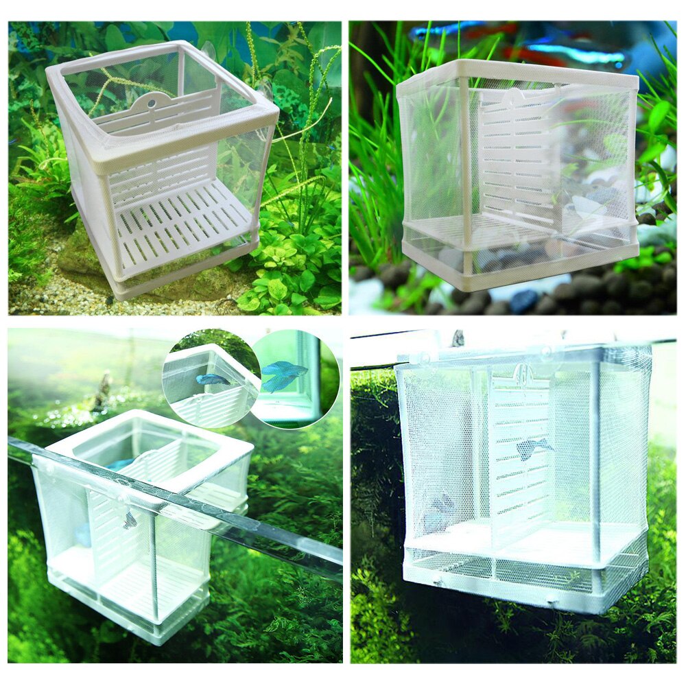 Boîte d'isolation pour poissons d'aquarium, petit bol pour poissons d'élevage filet d'isolation pour bébés, incubateur pour Betta