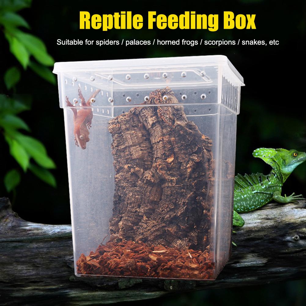 Reptil matningslåda genomskinlig klätterfodral för djur för att uppfostra djur spindel gecko horn groda orm skorpion orm foderfodral