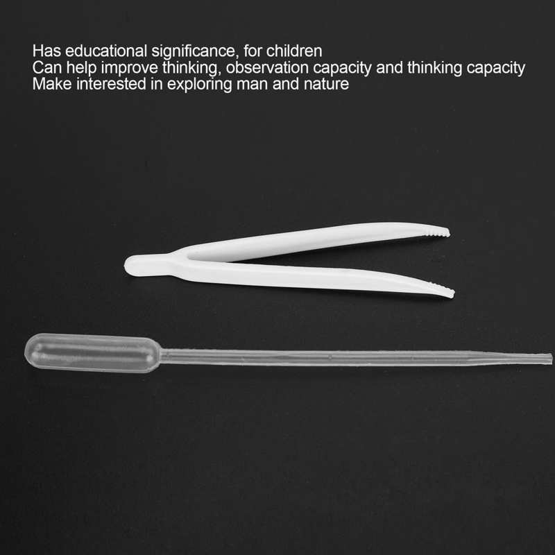 Insect box Insects Box Transparent Acrylic Ant Breeding Box Watching Feeding Moisturizing Pet Ants Case C Type Reptiles