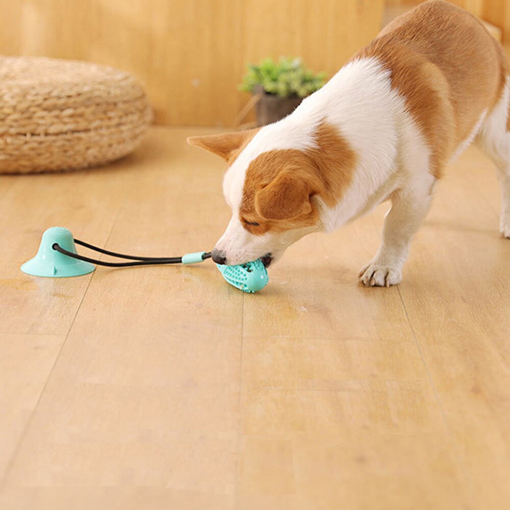 Sugekop slæbebåd hundelegetøj silicium kæledyr legetøj hunde skubbold legetøj kæledyr tand rengøring hund tandbørste til hvalp stor hund bidende legetøj
