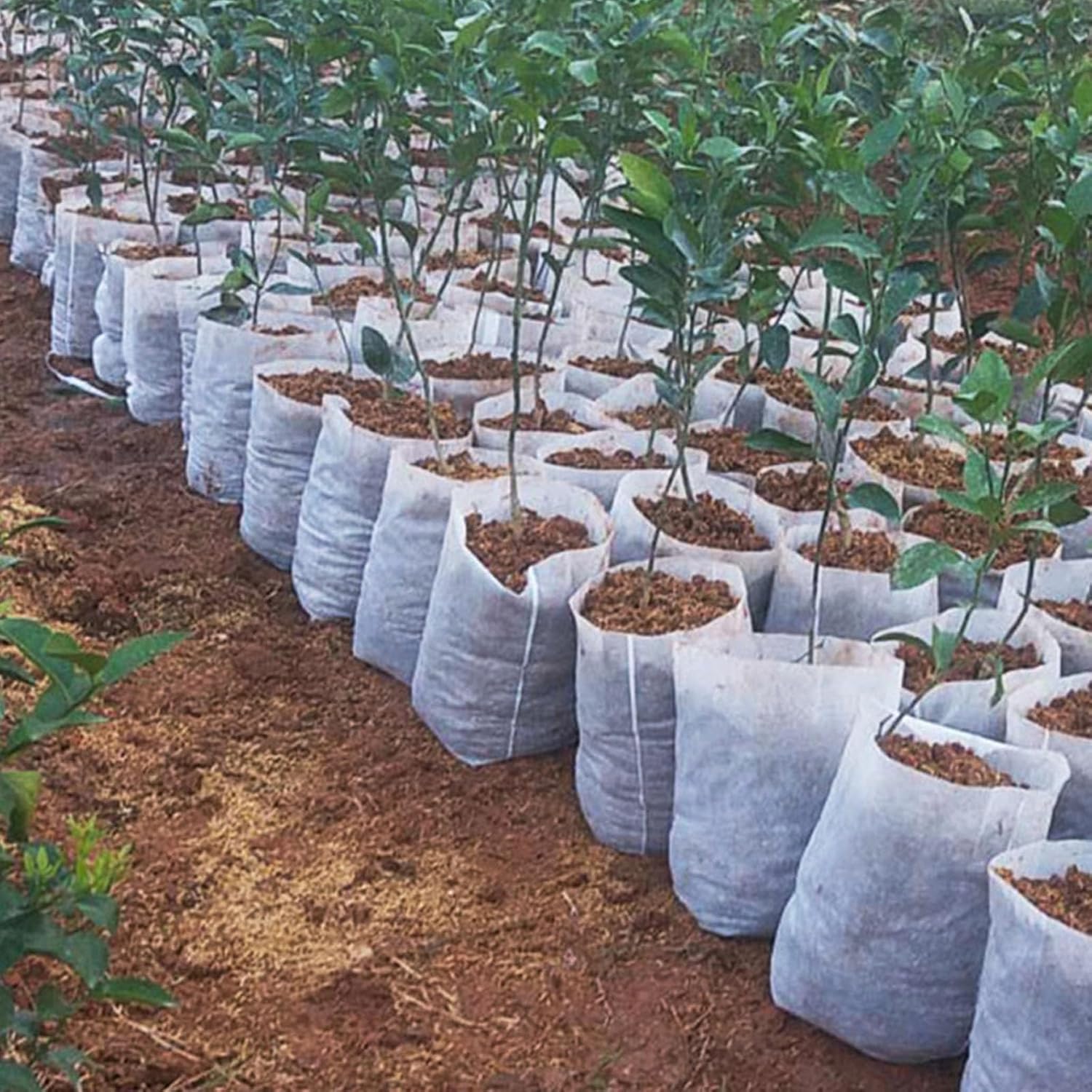 1000 stück vlies-pflanzsäcke für gemüse, setzlinge, blumen, obstbäume, gartenbedarf für sterben landwirtschaft