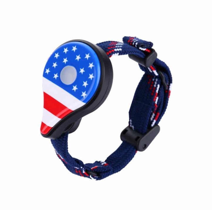 Pulsera de bolsillo con batería GO Plus, accesorio con correa compatible con Bluetooth, capturador automático, figuritas de fantasía recargables, 1 unidad: battery star