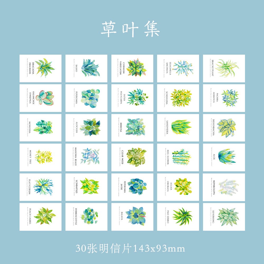 30 pcs/lot plantes vertes belle Kawaii dessin animé cartes postales mignon bricolage enveloppe carte créative signet