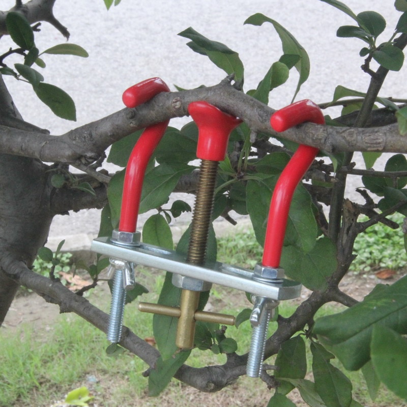 Modulateur de bonsaï pour les arbres, bricolage, outils de pliage de branches, régulateur de tronc, réparation du jardin, outil de greffage