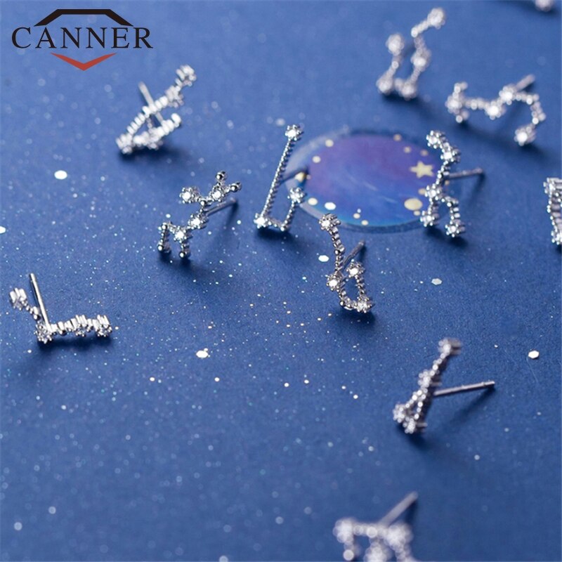 12 konstellation Kleine Frische Minimalistischen CZ Zirkon Ohrringe für Frauen 925 Sterling silber nette Stud Ohrringe Geburtstag