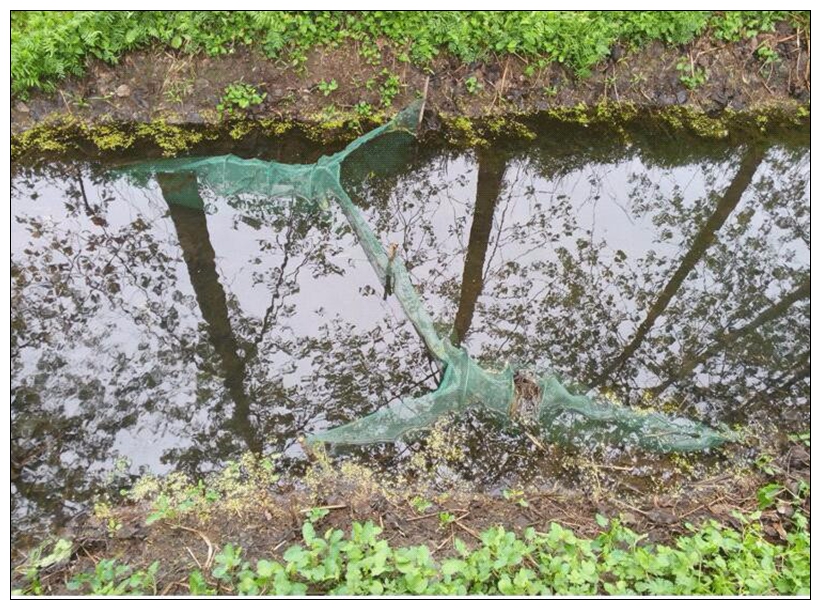 Rete da pesca automatica pieghevole rete da pesca granchio pesce aragosta gamberetti pesciolino esca da pesca rete da pesca cattura rete da pesca trappola esca