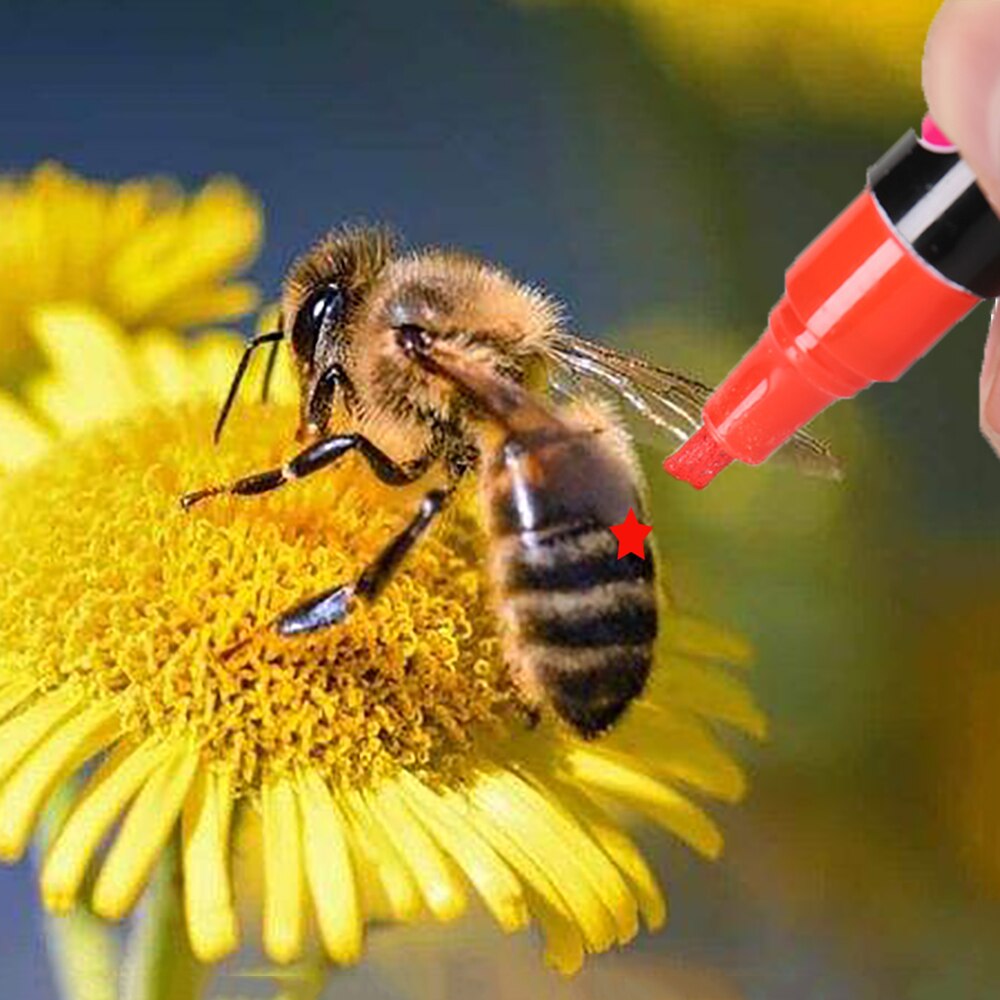 5 pièces reine abeille marqueur marquage stylo 8 couleurs abeilles outils équipement marqué dispositif identification apiculture apiculture fournitures