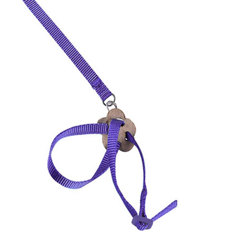 Pet Parrot Traction Strap Pet Anti-bite Training Rope Outdoor Rope Pet Leash Adjustable Bird Harness For Hamster, Lizard: Purple