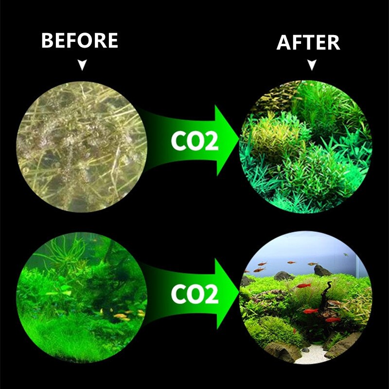Système de générateur de CO2 pour Aquarium, Kit de cylindre en acier inoxydable, générateur de dioxyde de carbone, Kit de plantes d&#39;aquarium