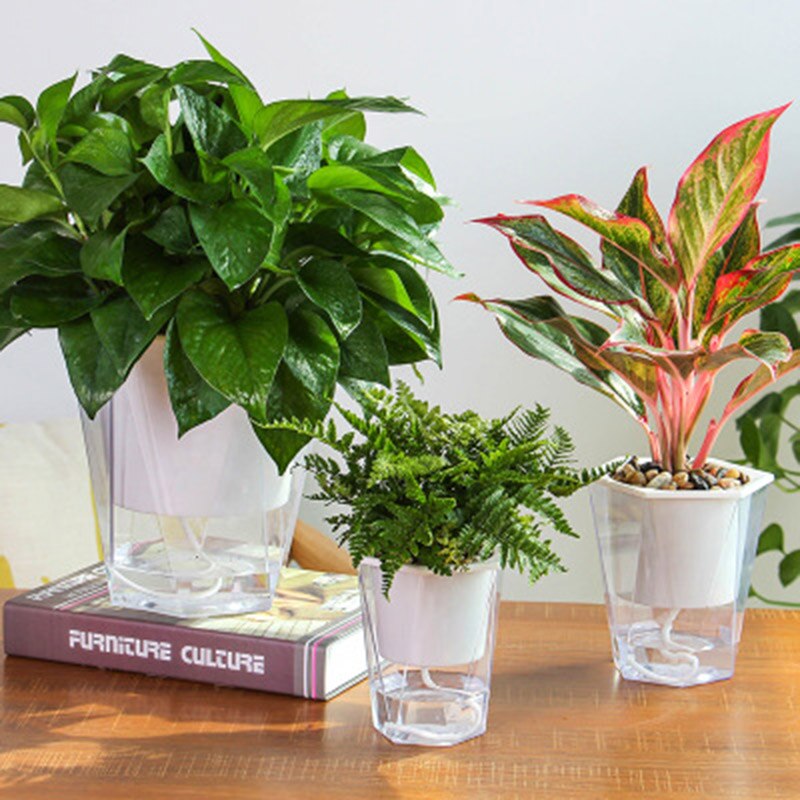 Maceta transparente de doble capa para plantas, maceta para decoración de hogar, jardín, escritorio, autorriego, PotOCT998