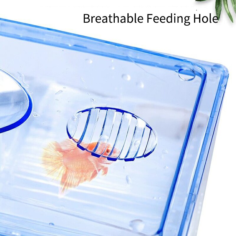 Out-tank Acrylic Fish Tank Breeding Isolation Box Aquarium Incubator Transparent Multifunctional Hatchery Room Aquarium Supplies