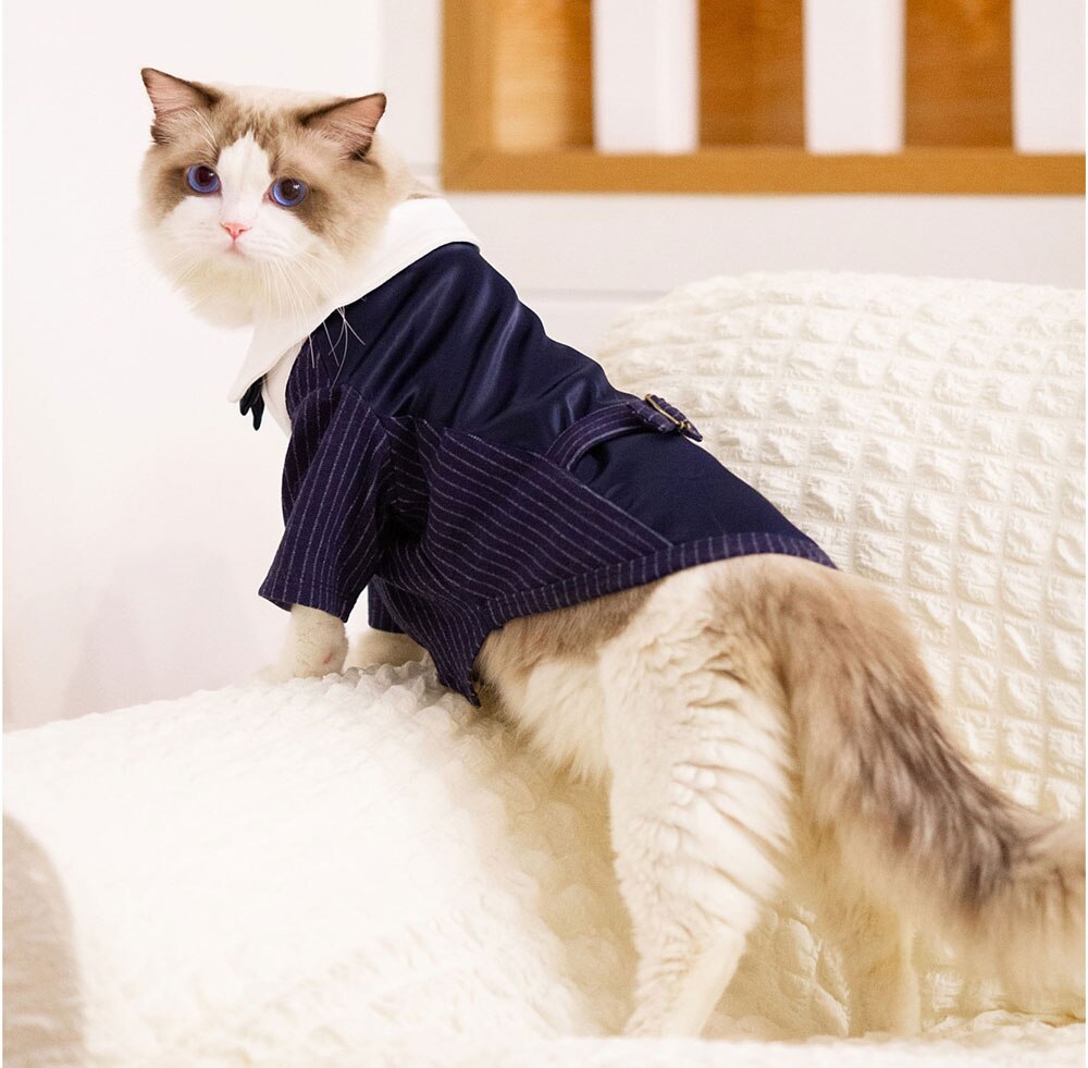 Hund Hochzeit Anzug Junge Hund Kleidung Hochzeit Kleid Katze Mantel Kleidung für Hund und Katze Haustier Hochzeit Anzug Bogen Klassiker romantische