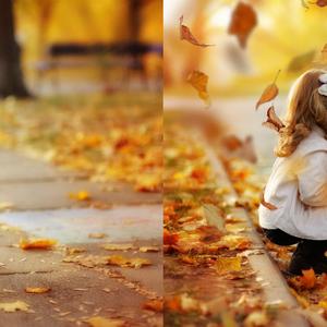 105 Falling Leaves Photo Overlays, Autumn overlays, Fall overlays, Photography overlays, PNG overlays, Leaves texture autumn